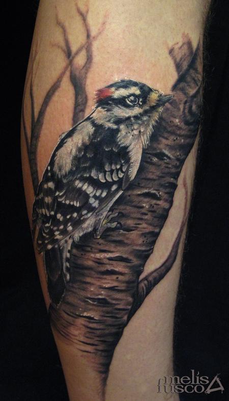 Tattoos - woodpecker on birch - 101455